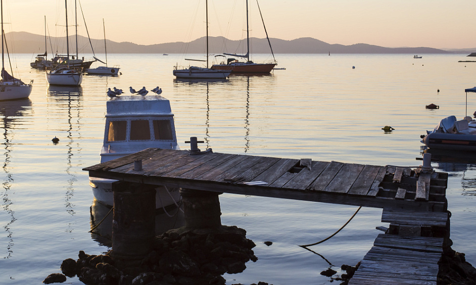 Coastal Tourism & Marine Business | Freehold Waterfront | Multiple Income Streams 1