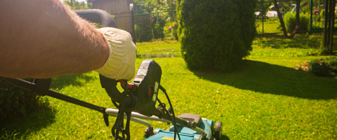 Grounds Maintenance for sale in Brisbane 286929