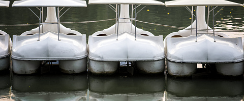 Charter Boat Businesses for sale in Sydney 237888