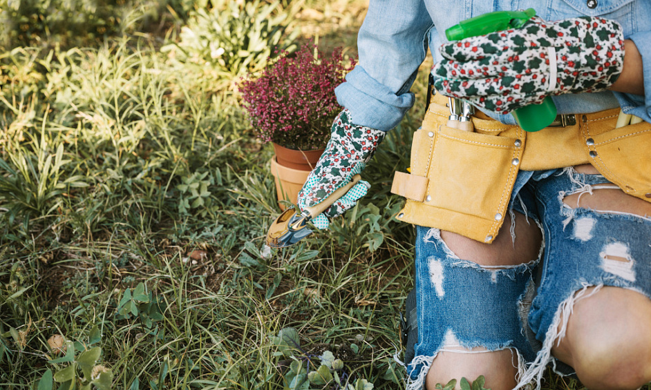 Mowing & Garden Care Part time Noosa area 1