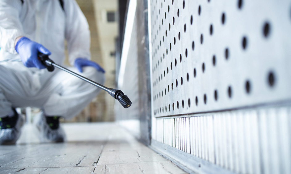 Profitable Building and Pest Inspection Business in Brisbane Region 1