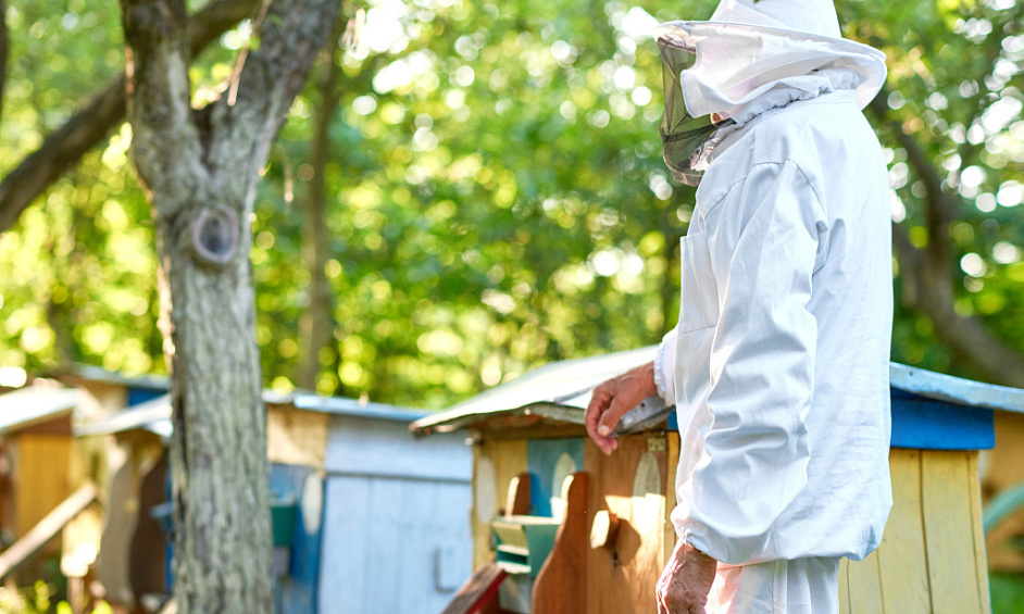 Established & Profitable Building & Timber Pest Inspection Business 1