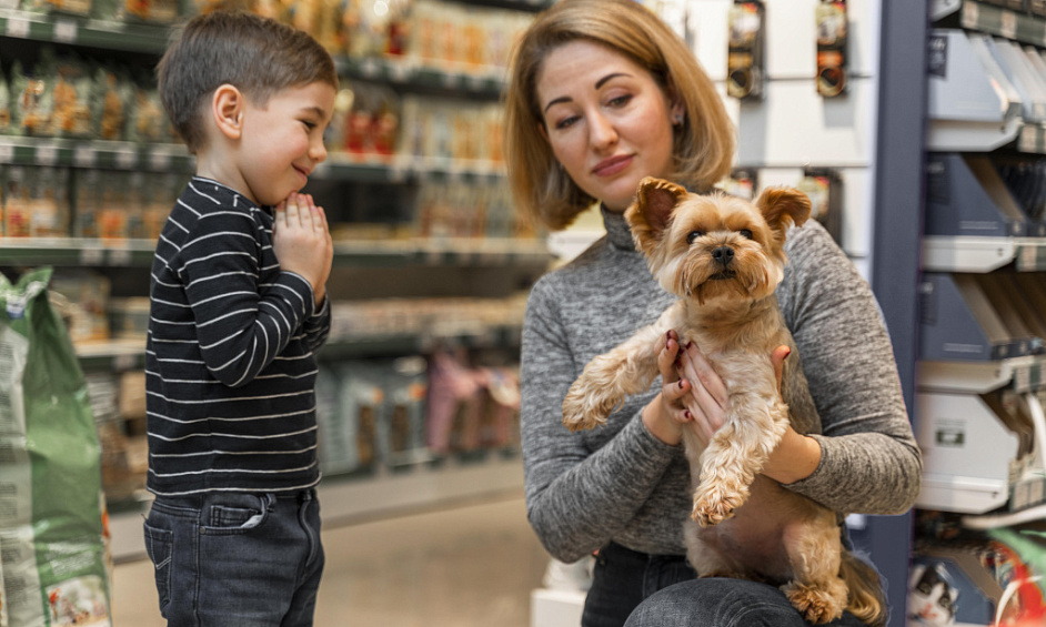 Pet Food Retail Shop for Sale in North East Shopping Centre Adelaide 1