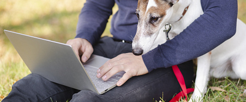 Pet Care Businesses for sale in Melbourne 157641