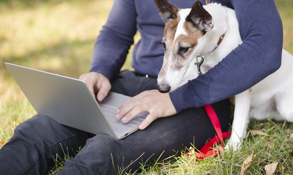 Trusted Dog Training Service with Multiple Revenue Streams and Strong Veterinary Referrals 1