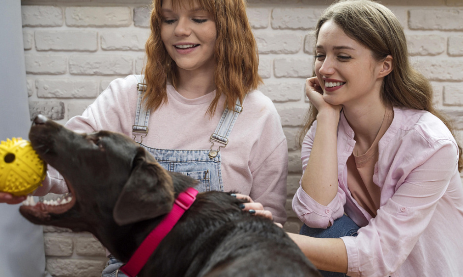 Established Puppy School in Prime Locations with Strong Vet Referrals 1 Established Puppy School in Prime Locations with Strong Vet Referrals 1