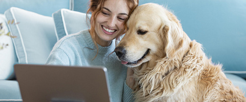 Pet Care Businesses for sale in Perth 237839