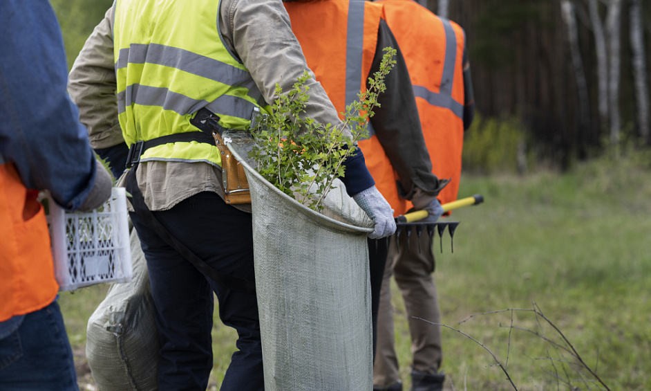 Vegetation Maintenance Municipal Contractor - EBS 1