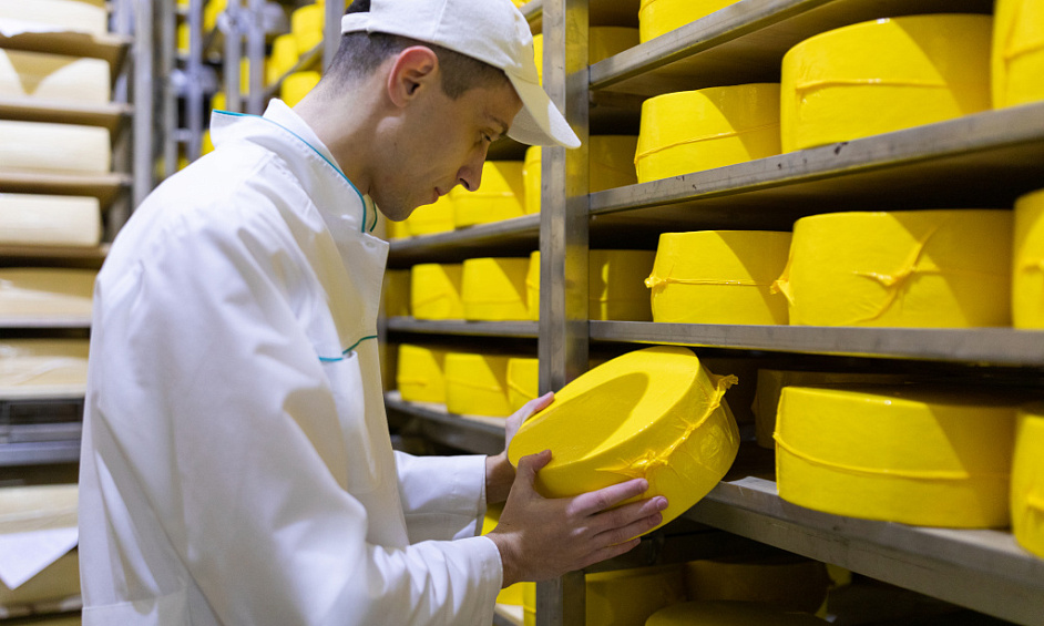 Complete Cheese manufacturing plant. Includes Freehold. 1