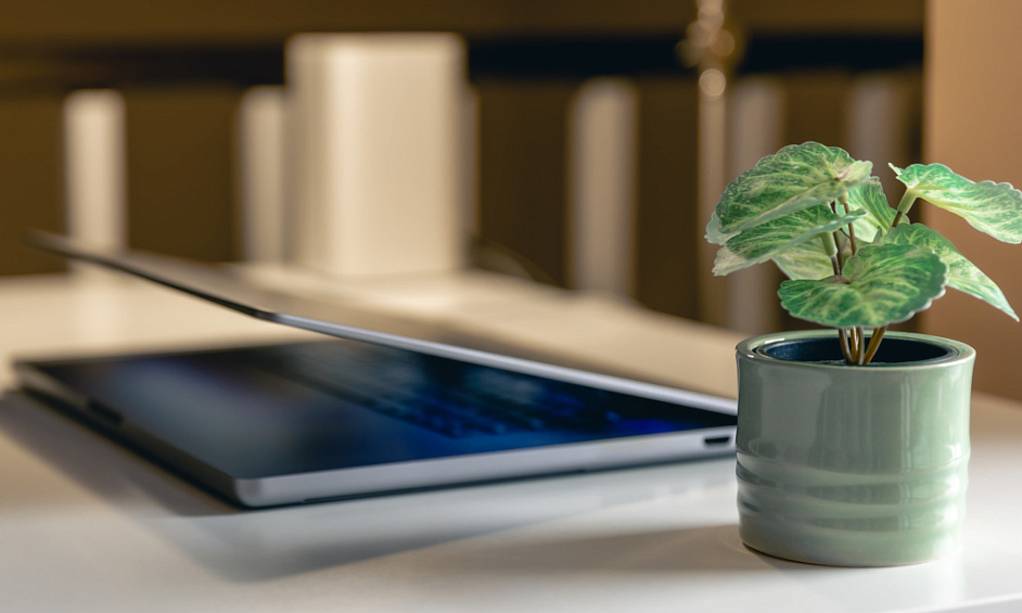 eCommerce Plant Business Scalable & Sustainable 1