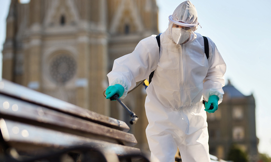 Gold Coast Pest Control - Motivated Seller 1