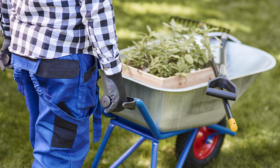 Established Landscape Services 1