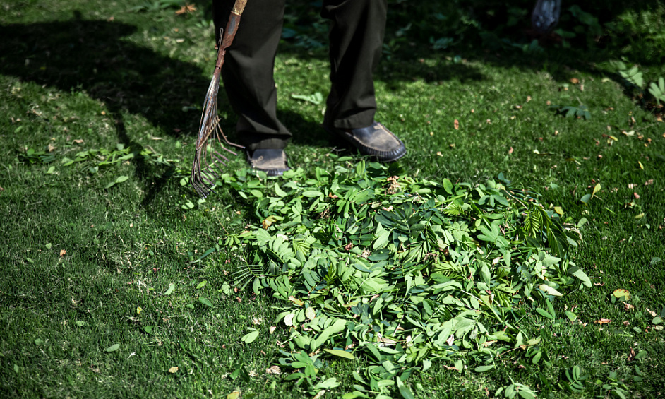 Lawn & Gardening Care Noosa 1