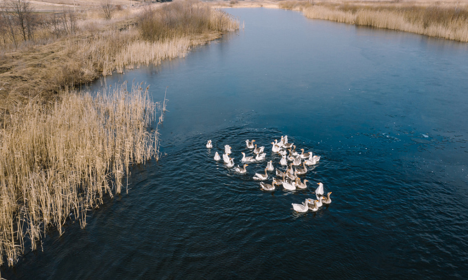Sustainable Aquaculture & Food Hub - Port Stephens 1